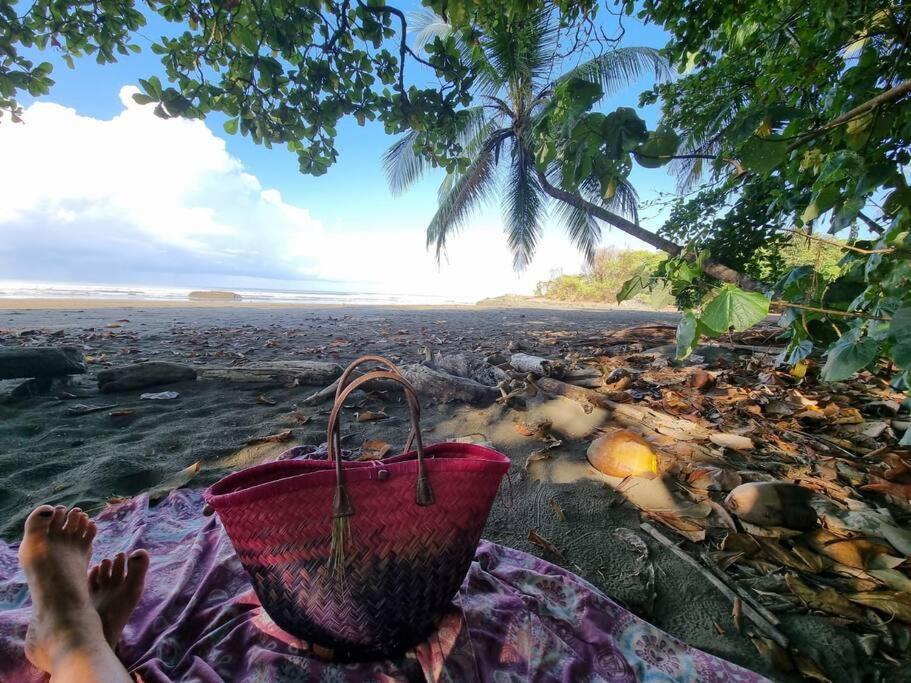 Villa Amor Del Mar With Breathtaking View Of Ocean & Jungle Dominical Kültér fotó