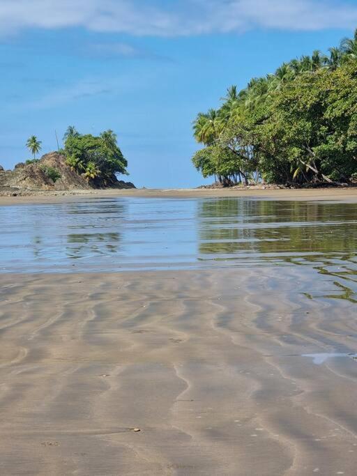 Villa Amor Del Mar With Breathtaking View Of Ocean & Jungle Dominical Kültér fotó