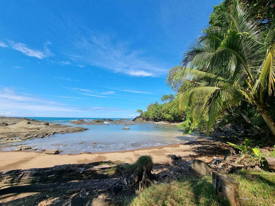 Villa Amor Del Mar With Breathtaking View Of Ocean & Jungle Dominical Kültér fotó